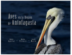 001 Aves en la Región de Antofagasta