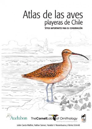 007 Atlas de la aves playeras de Chile