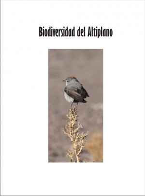 004 Flora y Fauna del altiplano