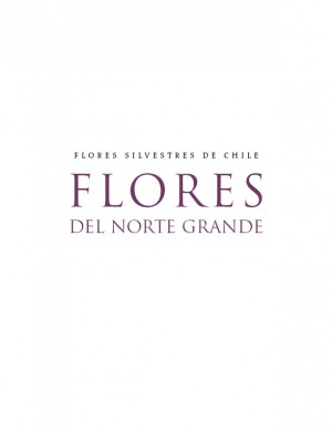 010 Flores del Norte Grande