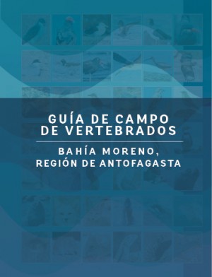011 Guía de vertebrados Bahía Moreno, Antofagasta